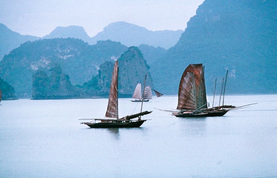 Cảnh tượng ngay lúc này trên vịnh Hạ Long: Sau gần 30 năm mới thấy lại, nhiều người không tin vào mắt mình- Ảnh 1.