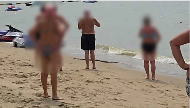 Sinh vật dài ngoằng bất ngờ trồi lên giữa bãi tắm đông nghịt, cơ quan chức năng nói: 