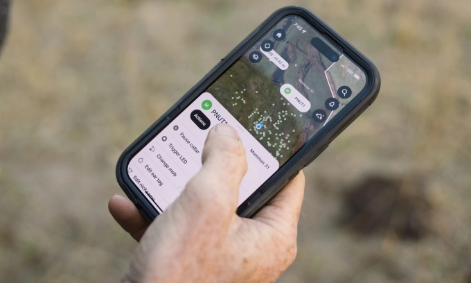 Ứng dụng chăn bò thịt của Halter. Ảnh: Halter