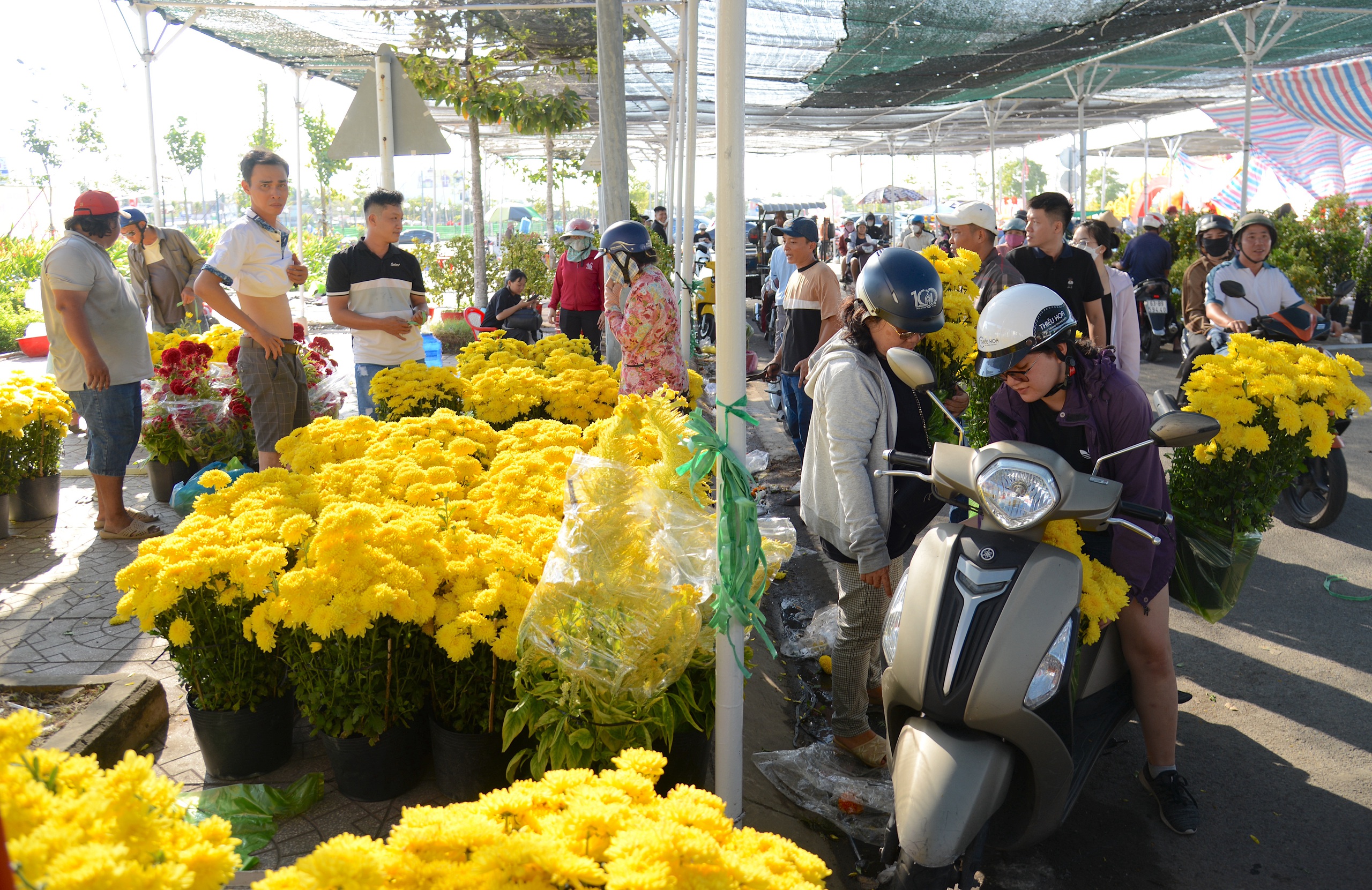 kiểng Tết - Ảnh 1.