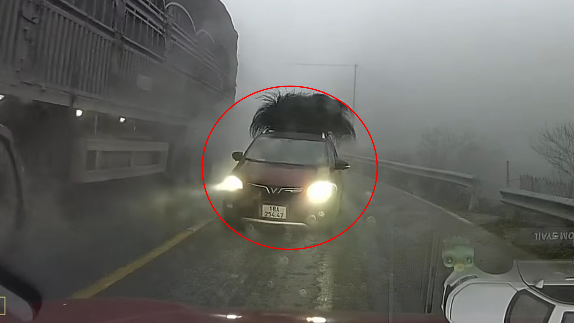 Tài xế lái ô tô con vượt ẩu giữa đèo sương mù bị CSGT xử phạt - Ảnh 1.