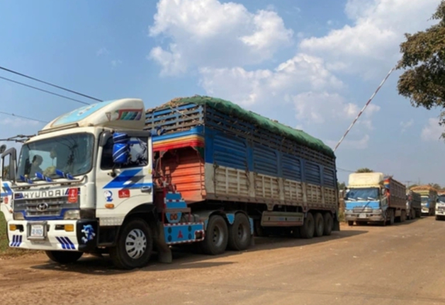 Bộ Y tế đề xuất tạm dừng Nghị định 46 và Nghị quyết 66.13 - Ảnh 1.