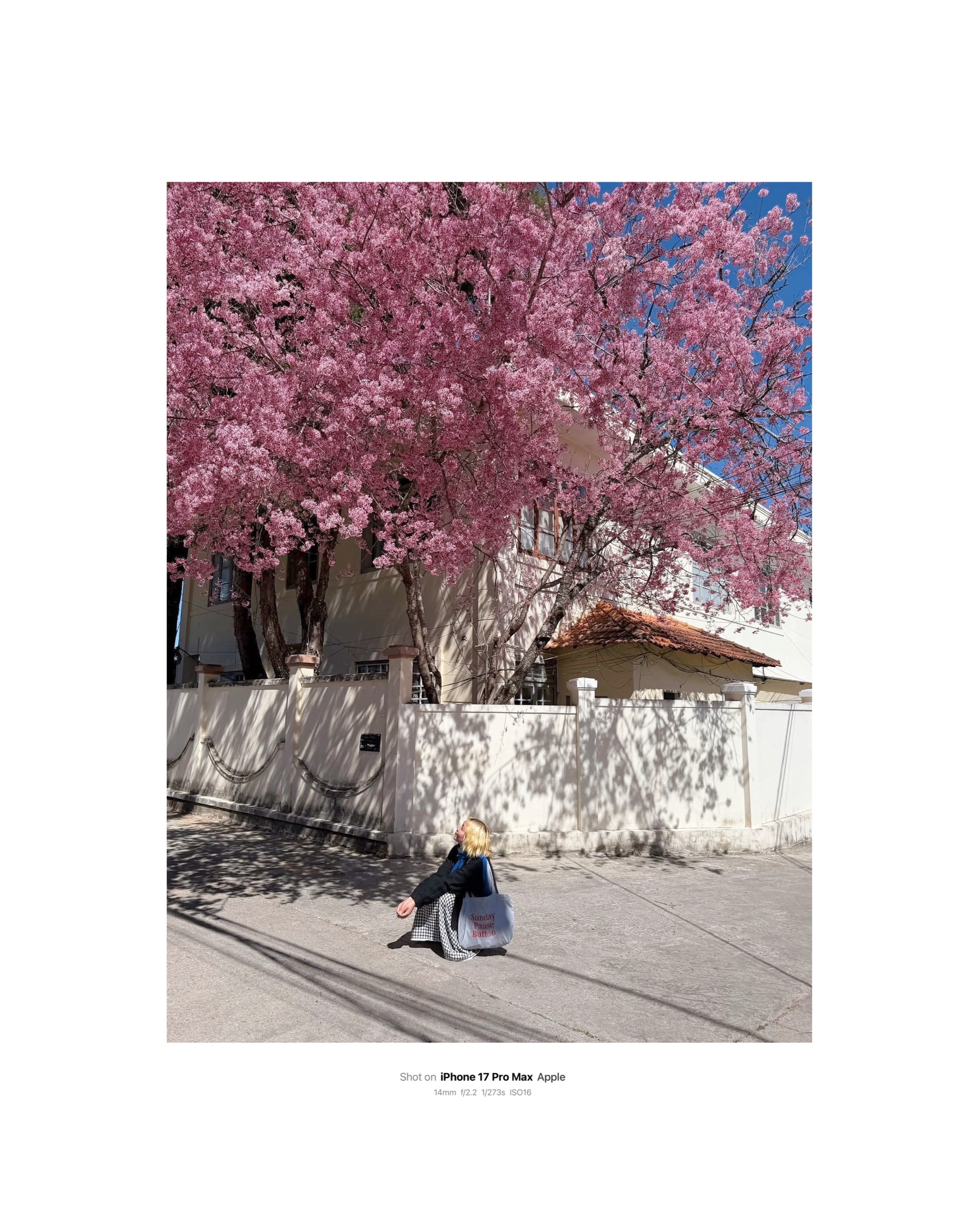 Tết đủ đầy qua lăng kính sáng tạo của người trẻ Việt- Ảnh 10.