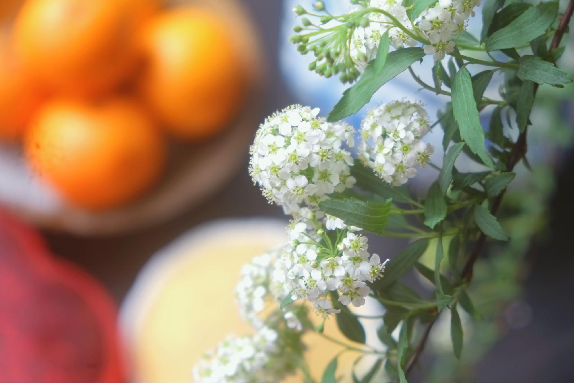 Tết thiếu chè kho là Tết chưa tròn- Ảnh 1.