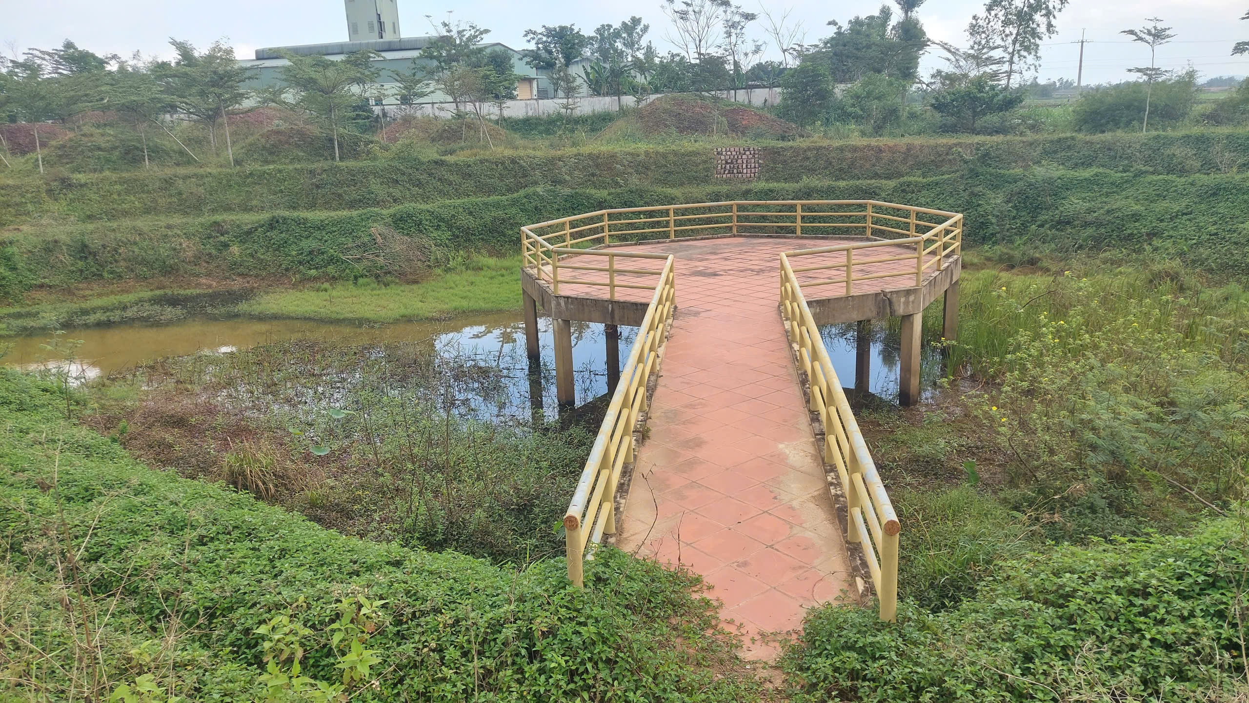 Thăm làng rượu Bàu Đá trước nỗi lo tắt lửa 1 Thăm làng rượu Bàu Đá trước nỗi lo tắt lửa - Ảnh 1.