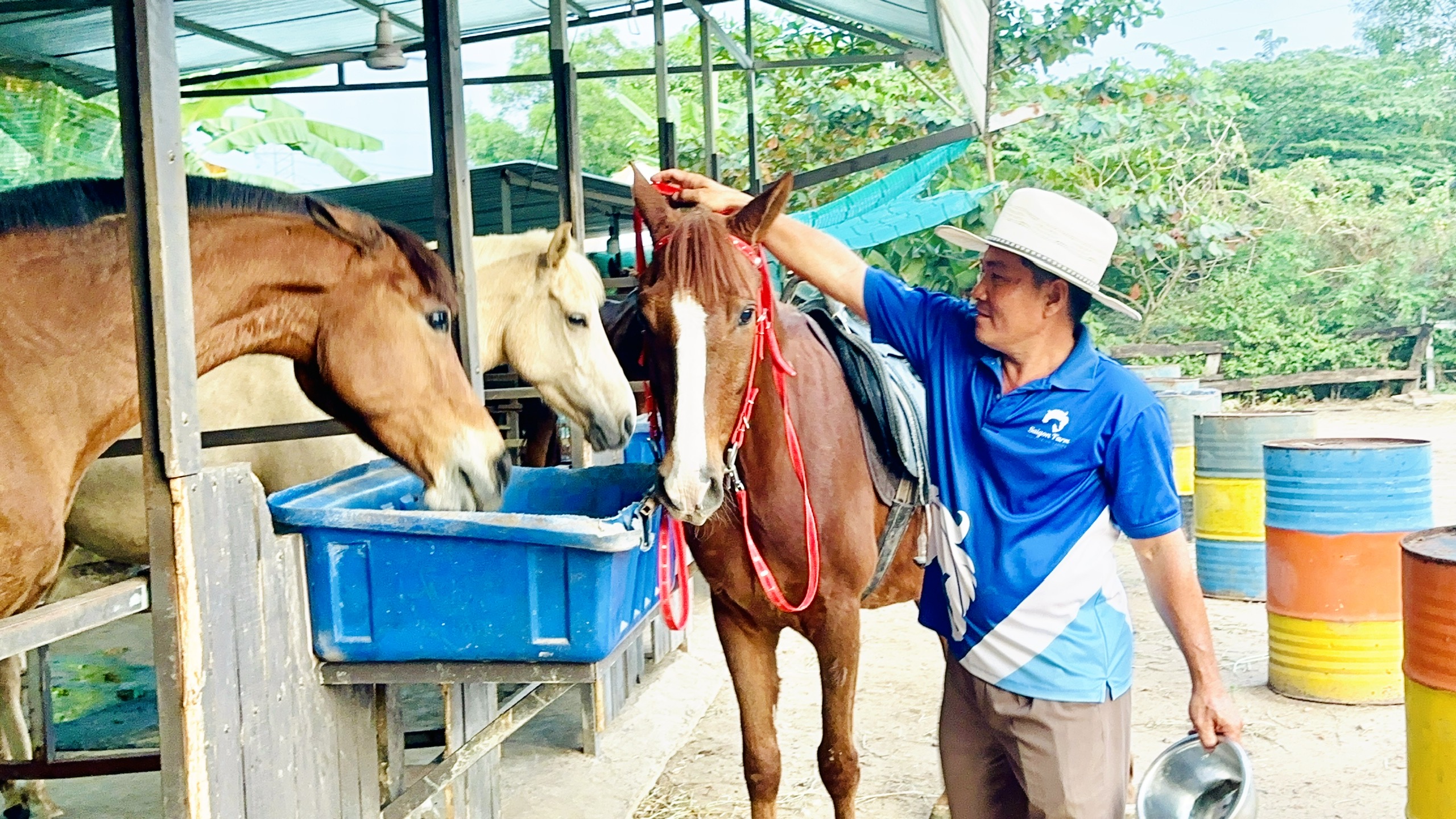 Nài ngựa Lê Tiến Tông: Đam mê 
