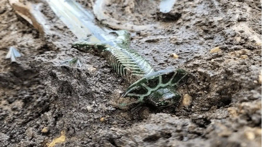 Thanh kiếm 8 cạnh 3.400 năm tuổi hé lộ bí mật độc đáo- Ảnh 1.