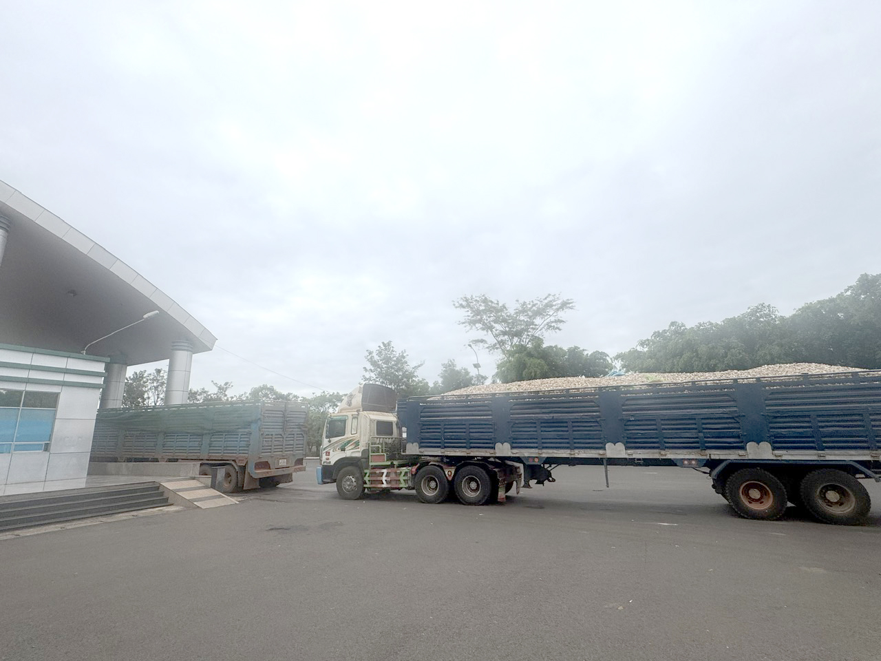 Thực phẩm nhập khẩu gặp khó khăn trong thông quan giữa quy định mới năm 2026 - Ảnh 1.