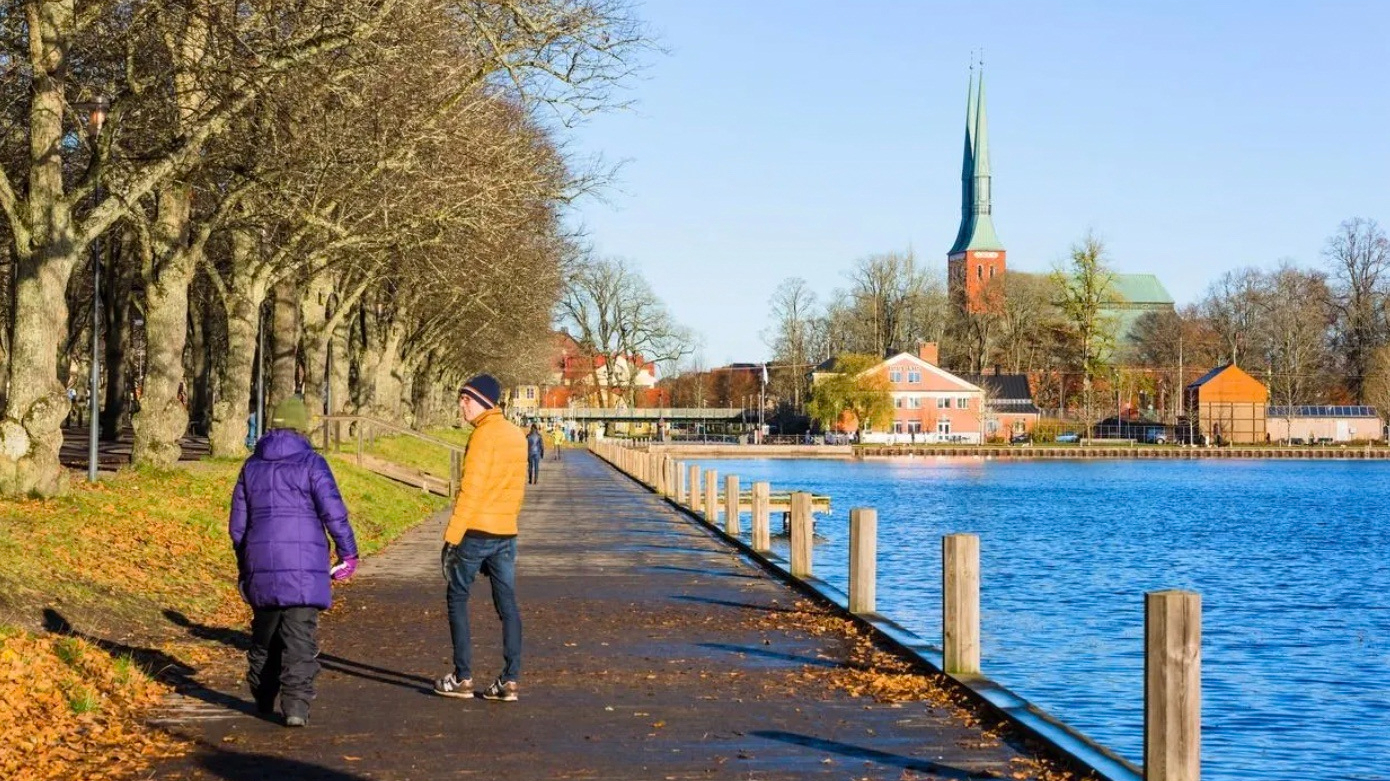 Thụy Điển - Ảnh 1.