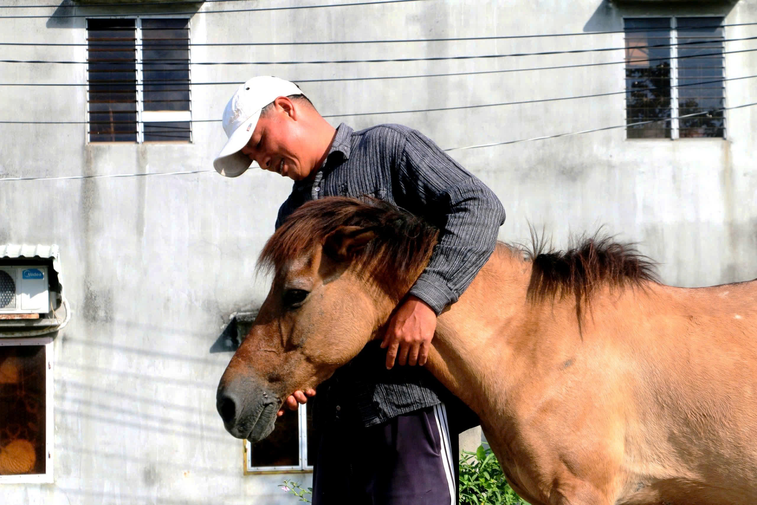 Những người nài ngựa cuối cùng ở vùng Bảy Núi: Di sản văn hóa đang dần biến mất - Ảnh 1. Những người nài ngựa cuối cùng ở vùng Bảy Núi: Di sản văn hóa đang dần biến mất - Ảnh 1.