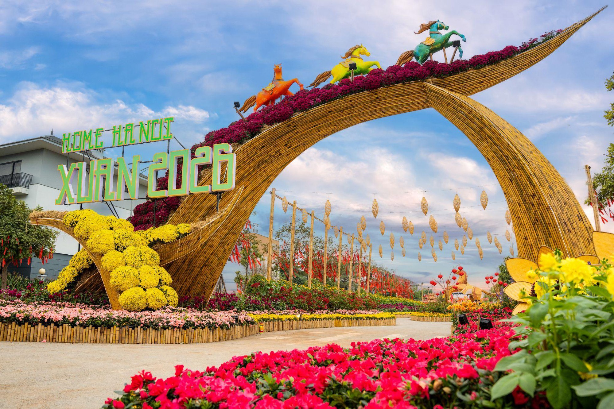 Giải mã Đường hoa Home Hanoi Xuan 2026: Tọa độ du xuân mới đang được giới trẻ Hà Nội rủ nhau check-in- Ảnh 1.