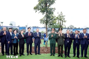 Tổng Bí thư Tô Lâm: Hà Nội phải phấn đấu là 'Thành phố trong rừng, rừng trong Thành phố'