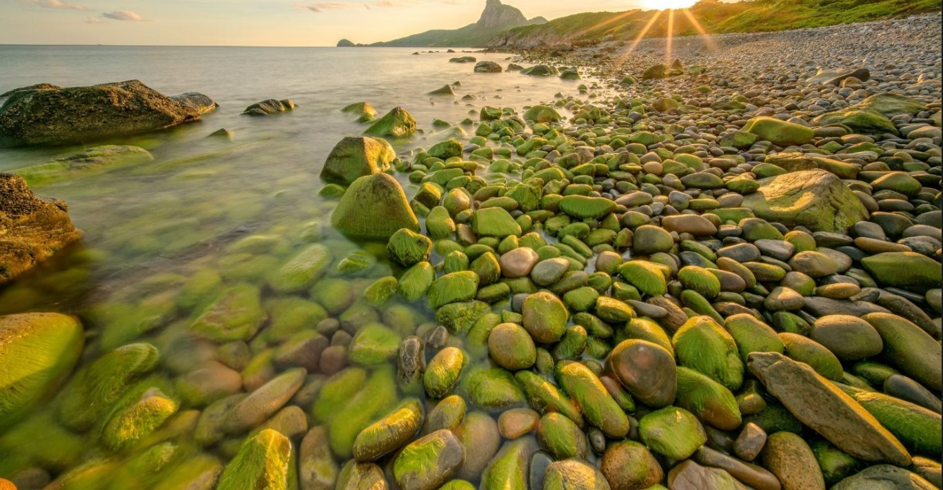 Không phải Phú Quốc, đây mới là hòn đảo Việt Nam được tạp chí Mỹ xếp hạng 