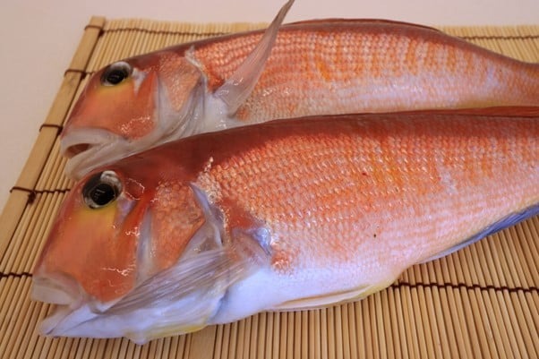 Top 6 loài cá chứa thủy ngân nhiều nhất- Ảnh 1.