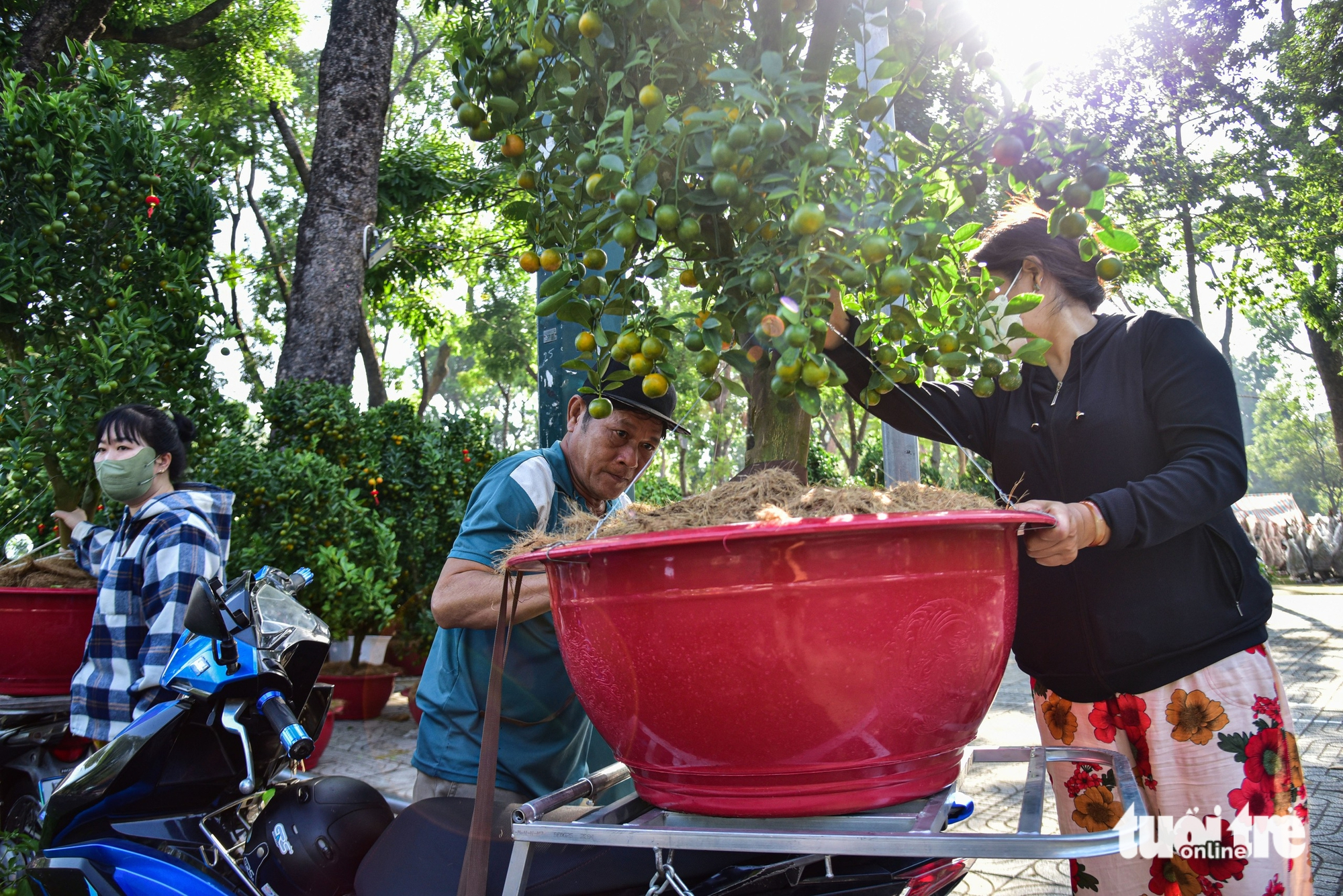 chợ hoa - Ảnh 1.