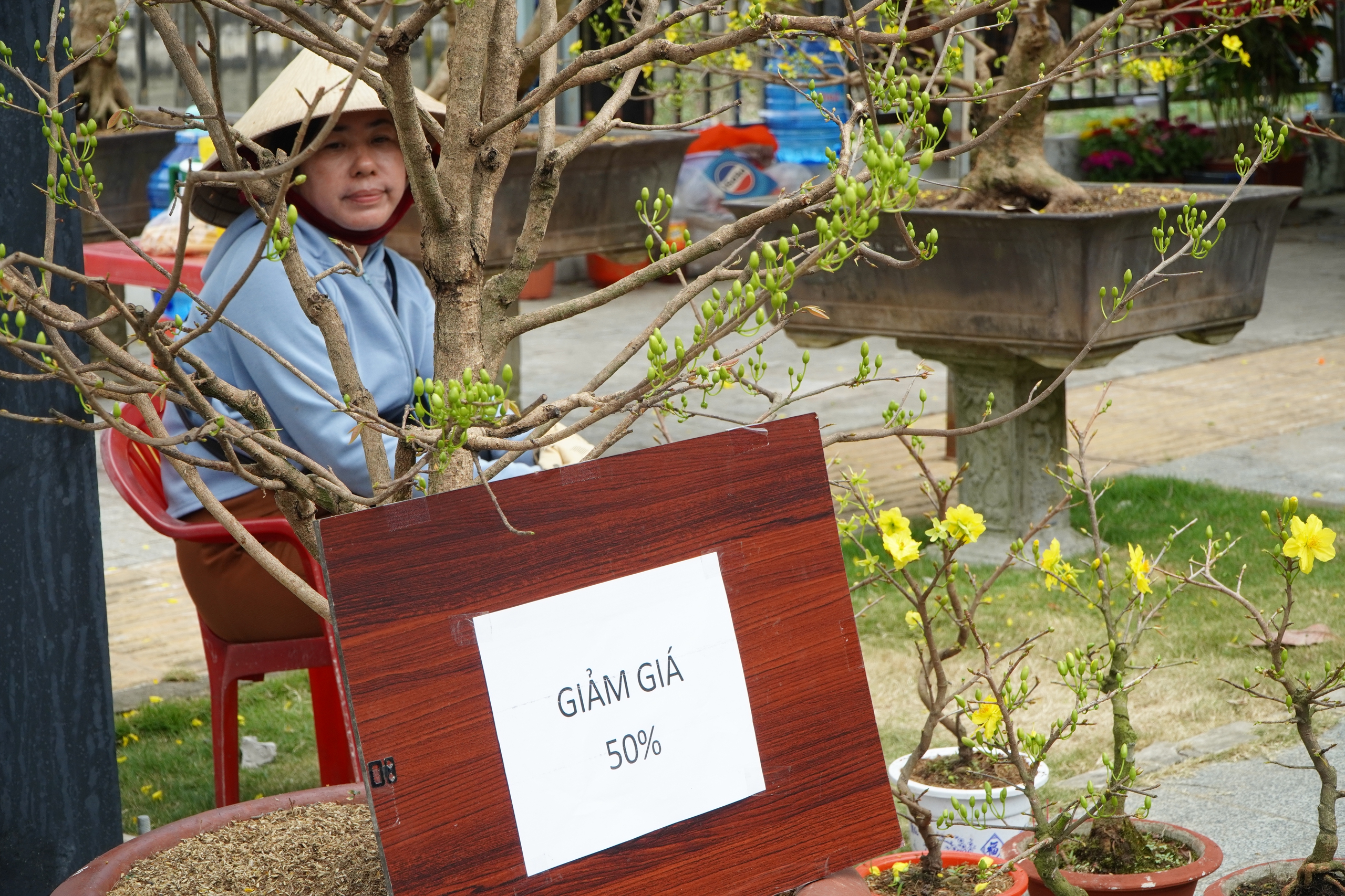 Người bán hoa ở Cần Thơ: “Treo biển giảm giá đau lòng lắm”- Ảnh 1. Người bán hoa ở Cần Thơ: “Treo biển giảm giá đau lòng lắm”- Ảnh 1.