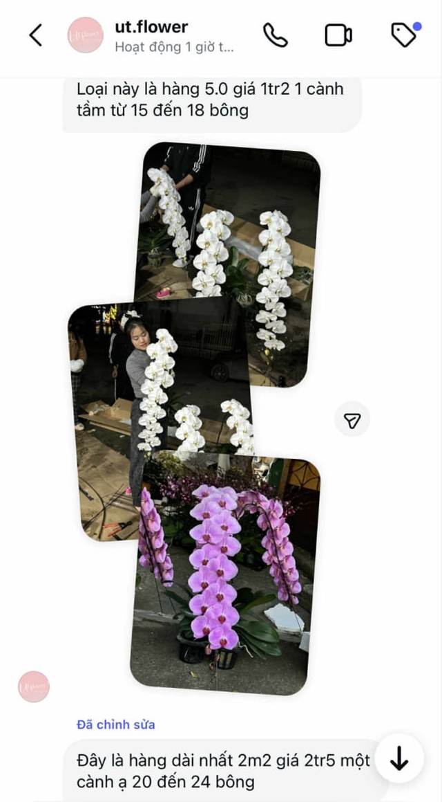 Tự nhiên Tết năm nay, người ta lại thi nhau mua một loại hoa có cái tên cực mỹ miều đi biếu tặng, vừa có gu vừa tinh tế- Ảnh 12.