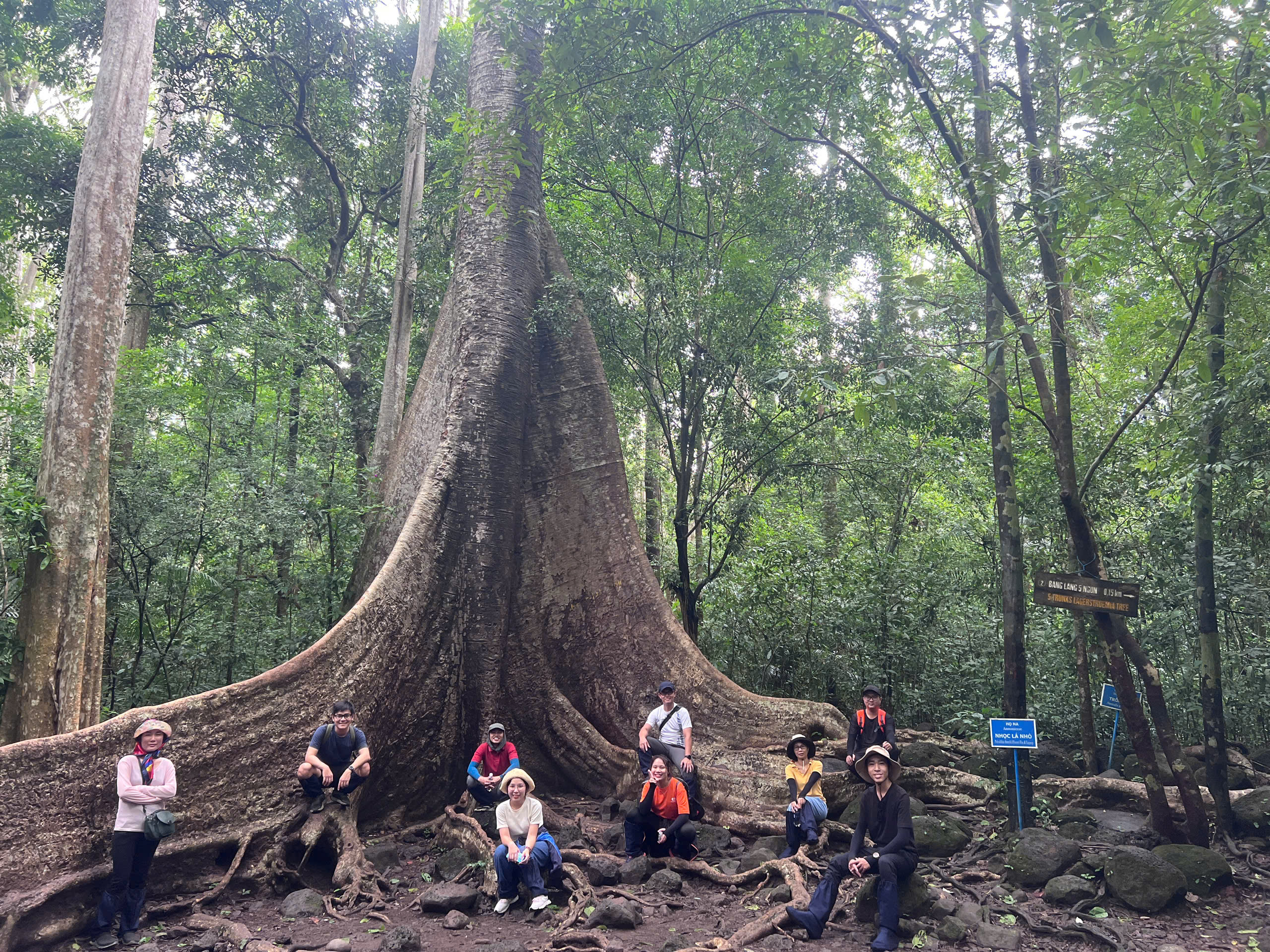 Vào rừng du xuân - Ảnh 1.