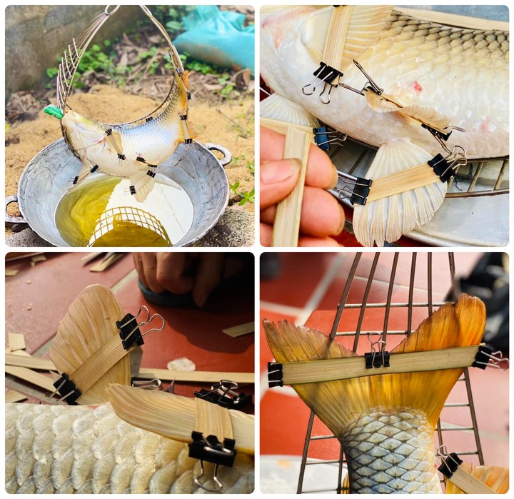 Về Hưng Yên tận thấy cỗ khao lão với cá chép nằm võng chế biến suốt 10 tiếng 1 Cá chép dùng để làm cỗ khao lão tại làng Diệc thường nặng từ 3kg trở lên và phải đảm bảo còn râu, vây nguyên vẹn nên để tìm được con cá đúng yêu cầu không hề đơn giản. Cá phải ngâm nước muối cho hết nhớt, bớt tanh. Bụng cá được nhồi lá chuối khô, khâu lại chỗ rạch làm sao để nhìn thoáng qua sẽ không phát hiện được. Từng cái vây cá, đuôi cá cũng được nẹp căng ra, ghim định hình sao cho xoè thật đẹp. Một cái phễu giấy được nhồi vào miệng cá, tất cả những công đoạn này mất hơn một giờ đồng hồ để hoàn thành.