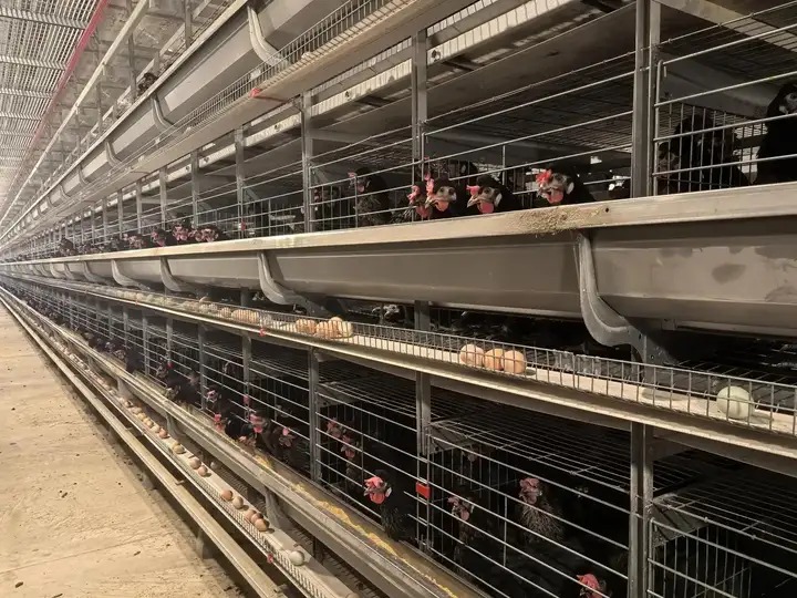 Vì sao công nghệ càng tối tân, con người càng cảm thấy kiệt quệ?- Ảnh 1. Vì sao công nghệ càng tối tân, con người càng cảm thấy kiệt quệ?- Ảnh 1.