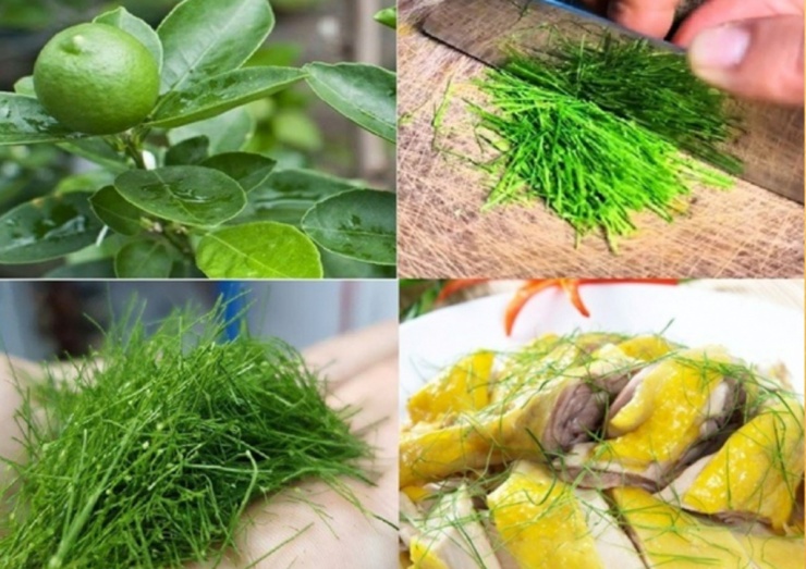 (Ảnh minh họa: VTC News)