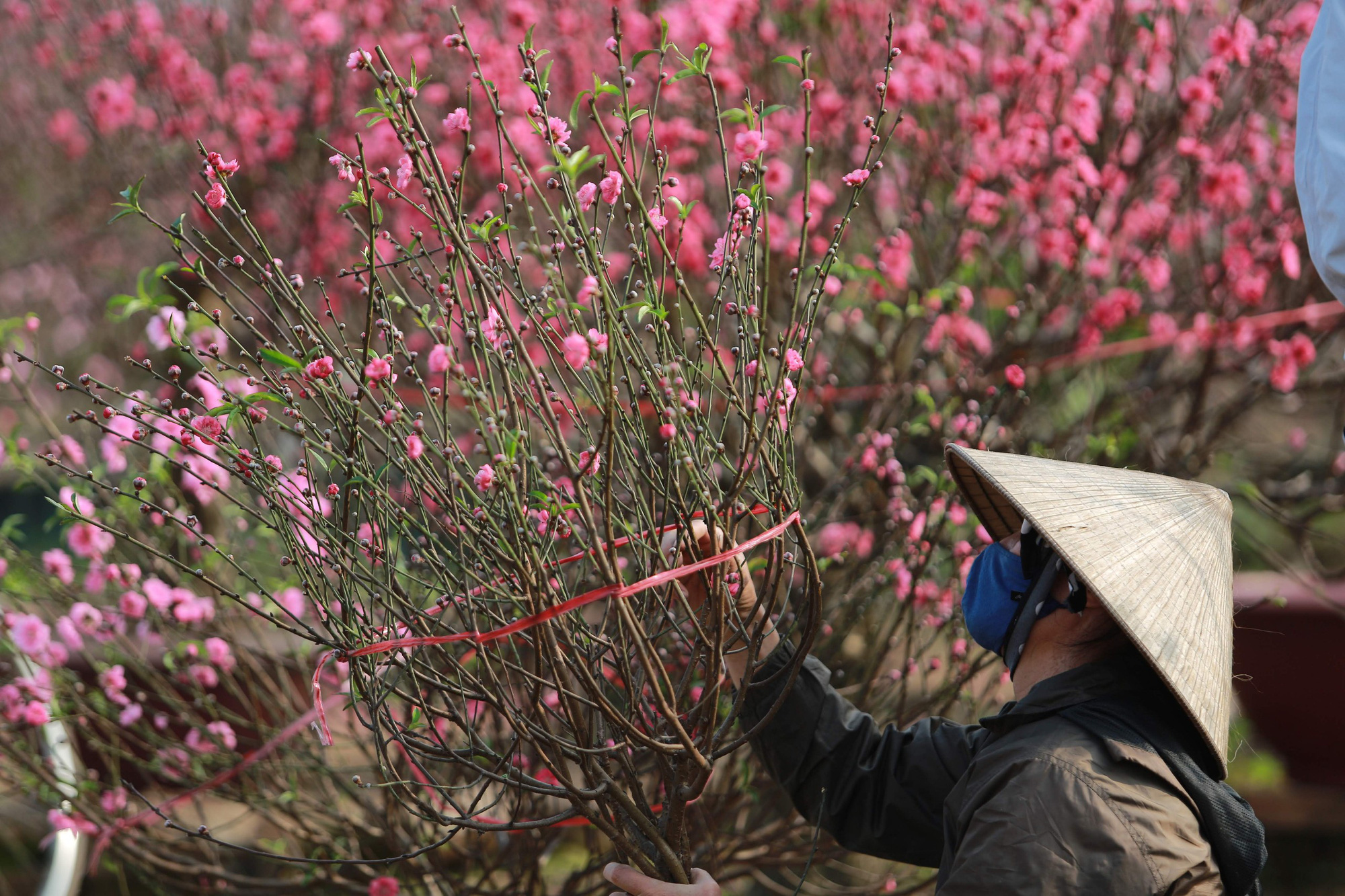 giao thừa - Ảnh 1.