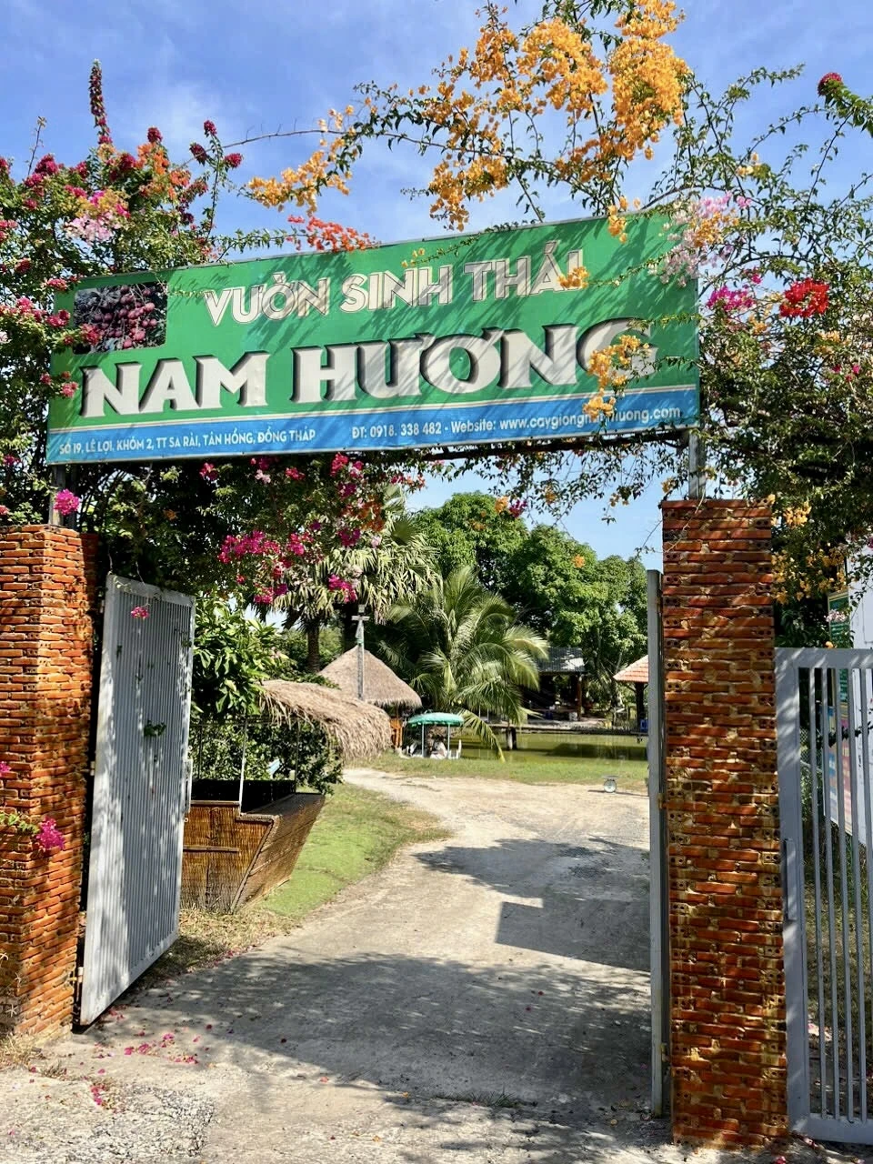 Vườn sinh thái Nam Hương, là nơi bảo tồn và phát triển nhiều loại cây giống, cây ăn trái quý hiếm du-lich-dong-thap-vu-sau-nam-huong-an-duoc-ca-vo-2.jpg