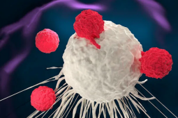 Dùng virus điều trị ung thư, khối u thu nhỏ sau 28 ngày