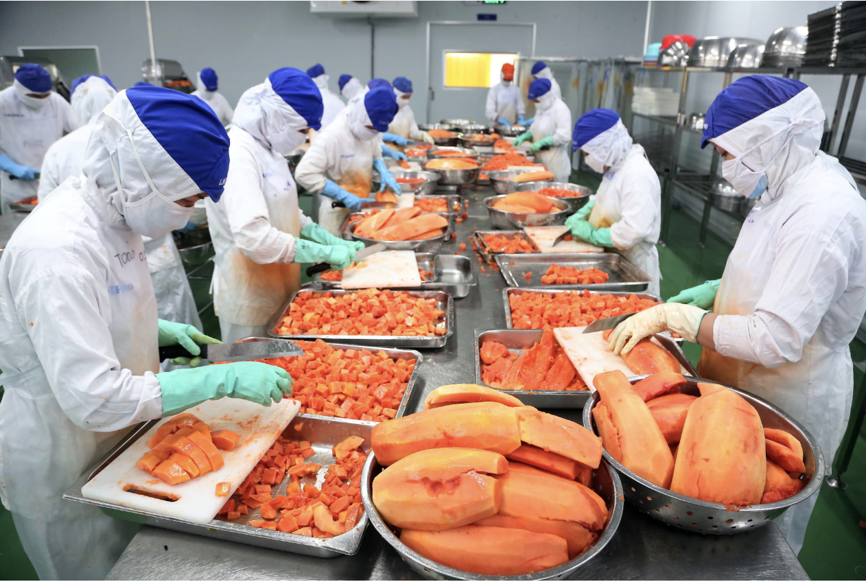 Xuất khẩu rau quả đạt 'kỷ lục kép', kỳ vọng lập đỉnh 10 tỉ USD- Ảnh 1.