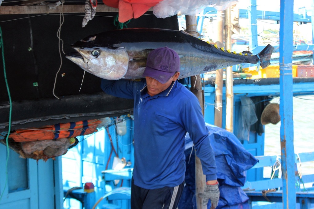 Xuất khẩu thuỷ sản sang Trung Quốc tăng, bù đắp cho thị trường Mỹ - 1