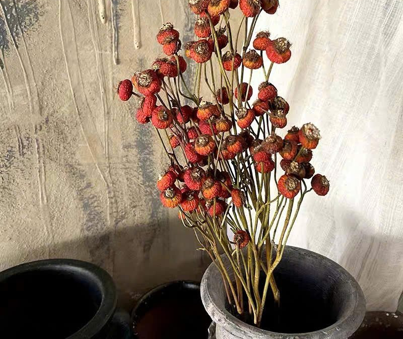 Tháng Giêng giữ 4 thứ này trong nhà: Xui xẻo đủ đường, tài lộc công danh bị chặn đứng- Ảnh 3. Tháng Giêng giữ 4 thứ này trong nhà: Xui xẻo đủ đường, tài lộc công danh bị chặn đứng- Ảnh 3.