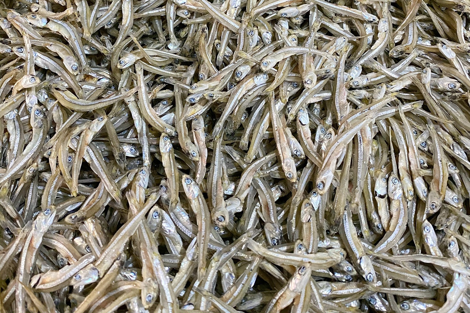 10 loại cá bình dân nhưng bổ ngang cá hồi, ra chợ là mua được- Ảnh 1.