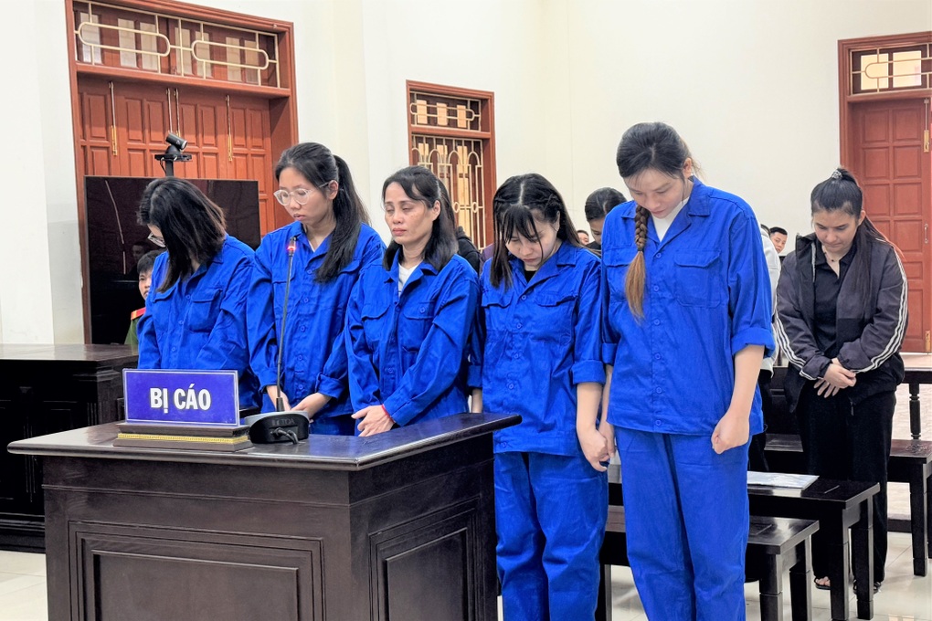 10 nữ quái tổ chức đường dây mang thai hộ, dịch vụ trọn gói từ A đến Z - 1