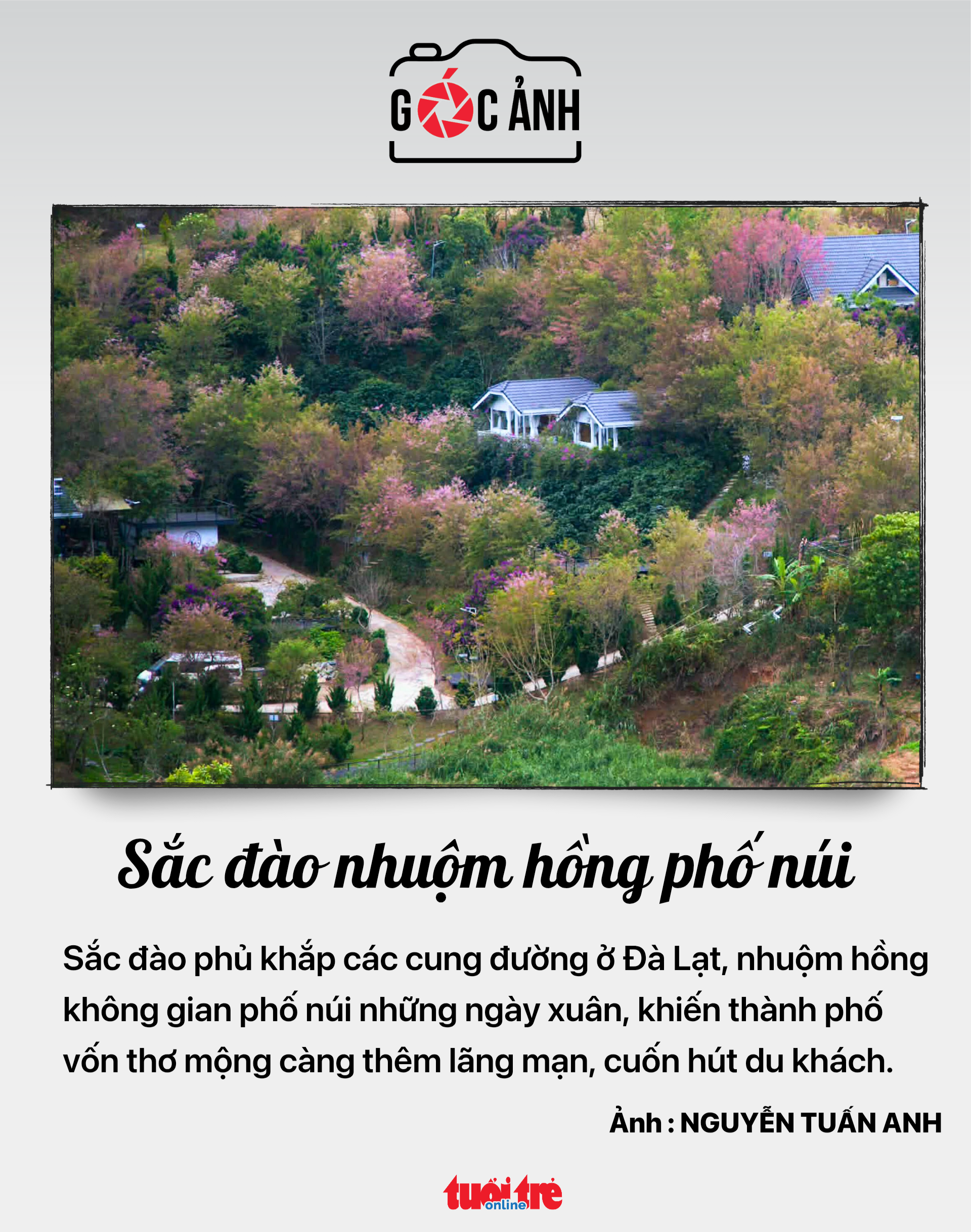 xe biển xanh - Ảnh 5.