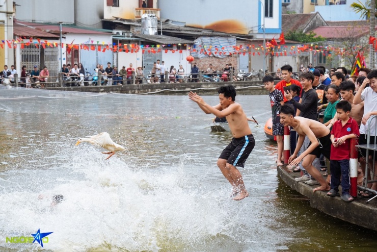 Hàng chục trai tráng ngụp lặn bắt vịt ở hội làng Hà Nội - 2