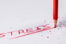 Đột quỵ tuổi 30 - giá đắt của việc phớt lờ tín hiệu SOS