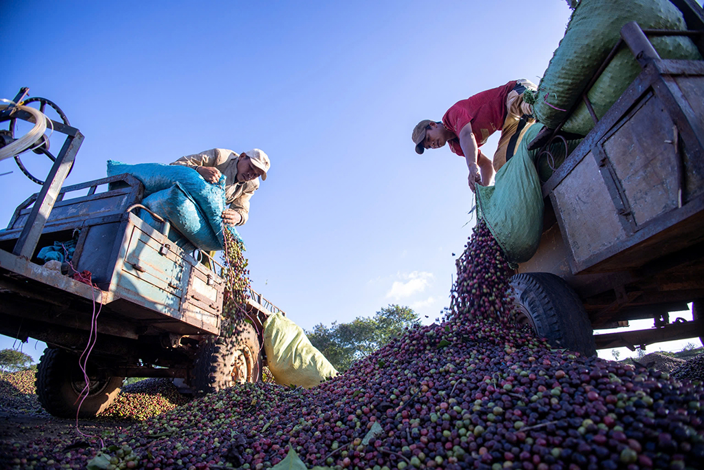 Xuất khẩu lo chi phí vận tải biển tăng- Ảnh 2.