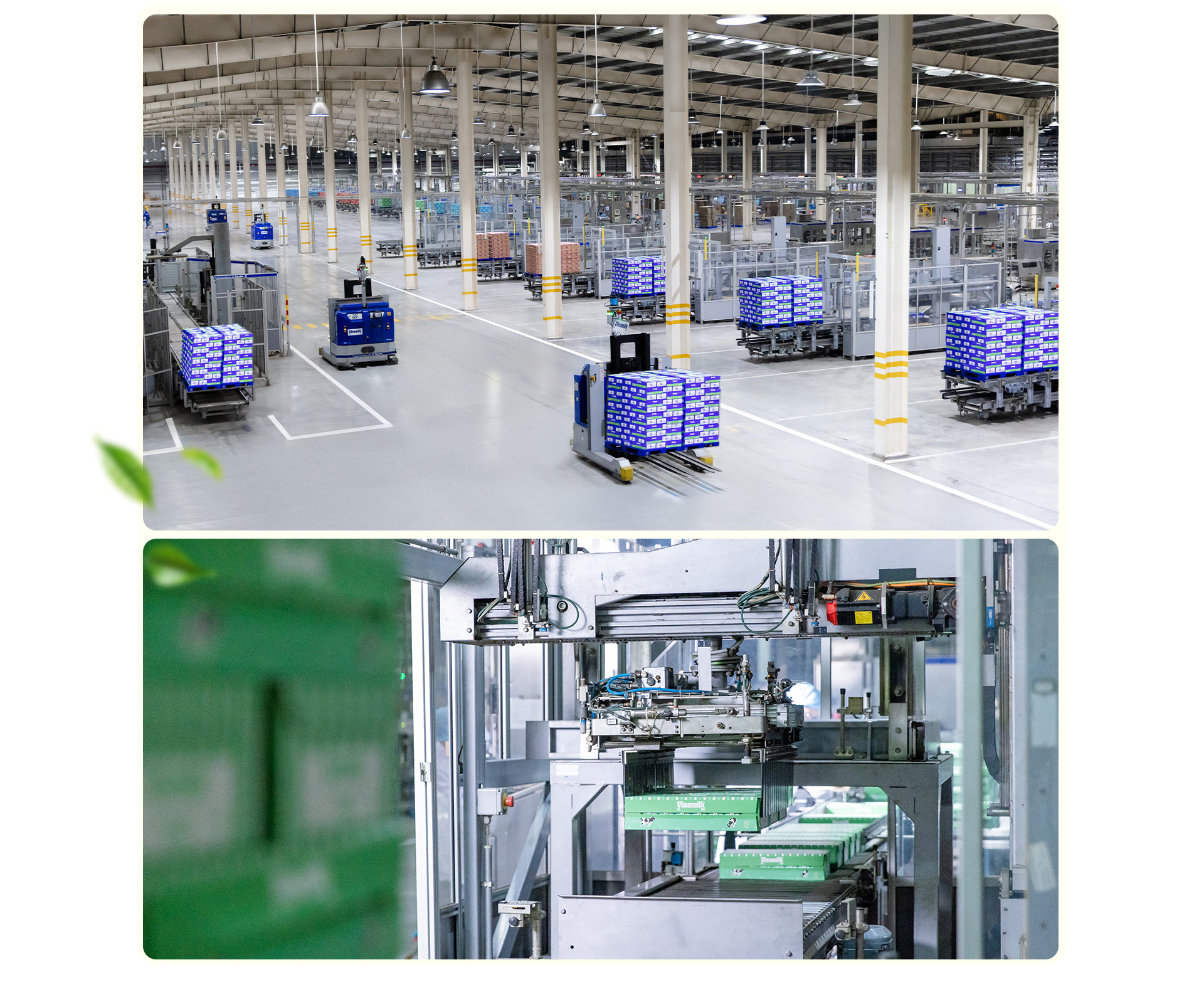 Khám phá siêu nhà máy sữa Vinamilk: Điểm sáng phát triển bền vững - Ảnh 5. Khám phá siêu nhà máy sữa Vinamilk: Điểm sáng phát triển bền vững - Ảnh 5.