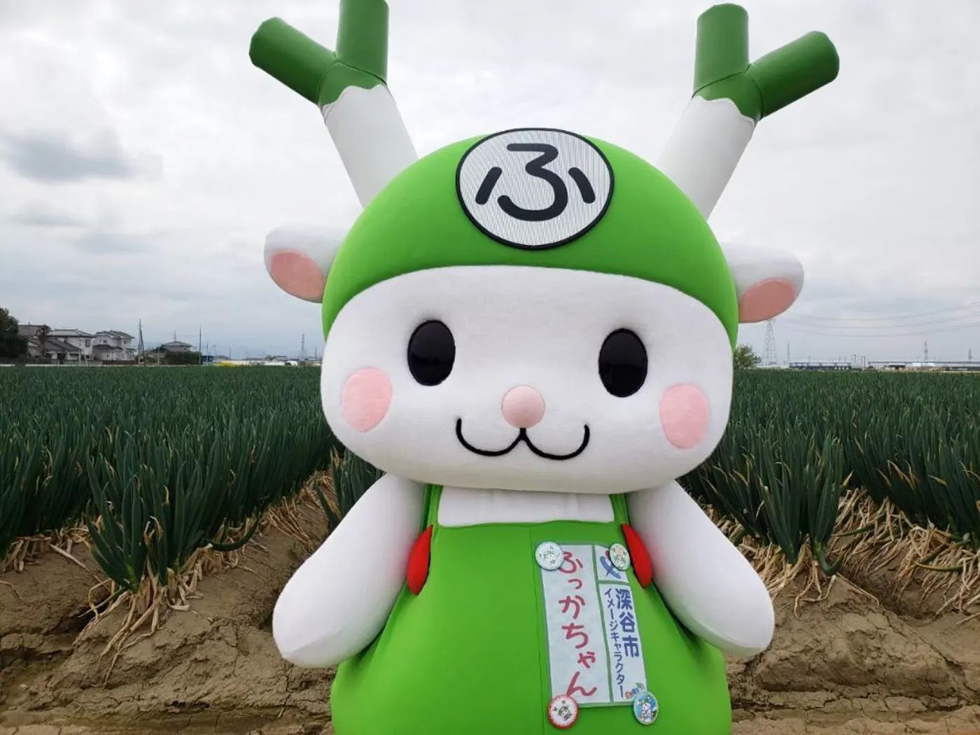 Nhật Bản đúng là không giống ai: Thứ cả thế giới bình thường thì vào tay họ lại thành 