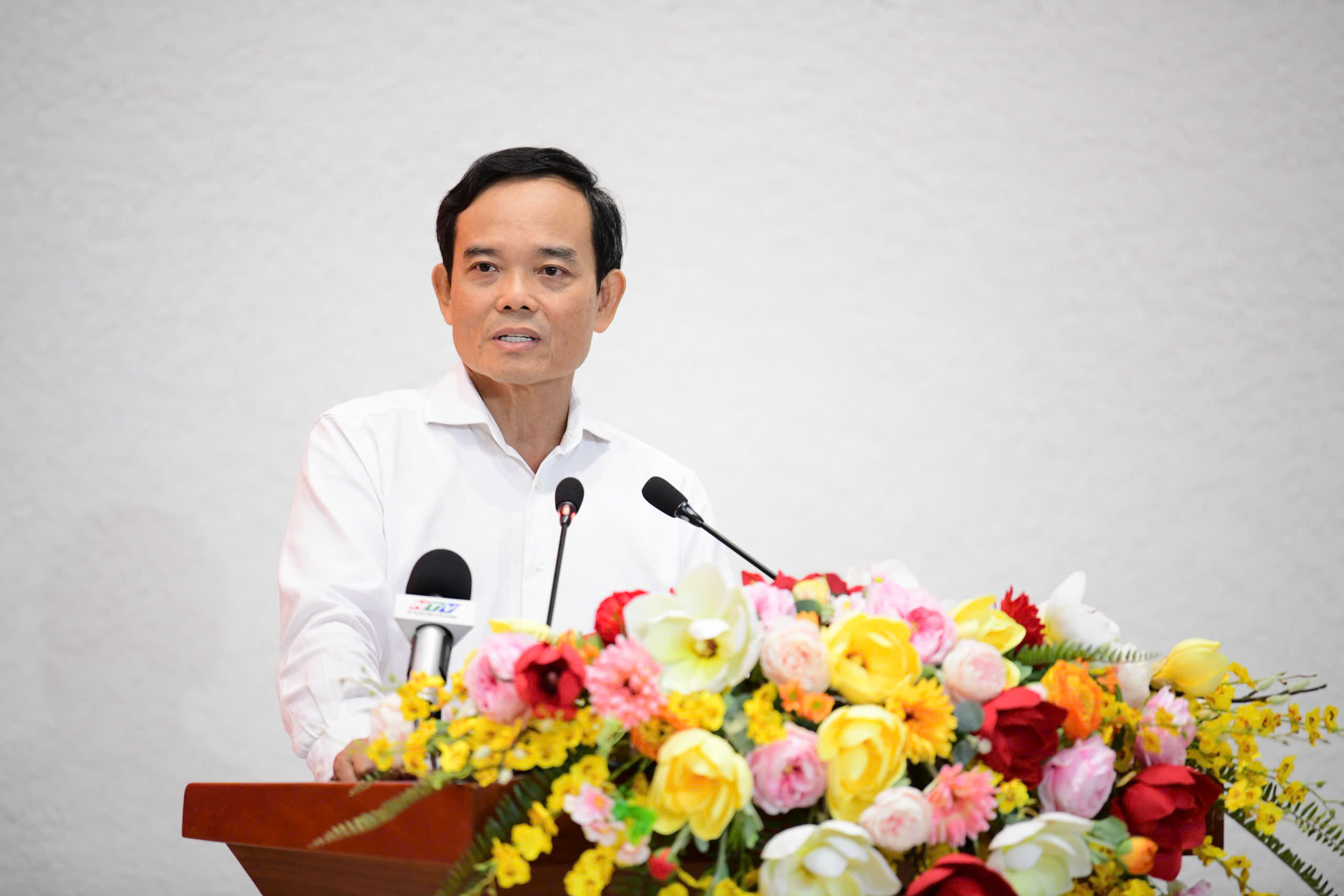 Trần Lưu Quang - Ảnh 2.