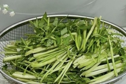 Loại rau làm mát gan, hạ huyết áp nhưng 4 nhóm người không nên ăn