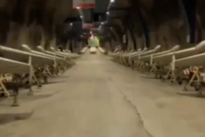 VIDEO: Iran khoe kho vũ khí ngầm dùng để tấn công Mỹ