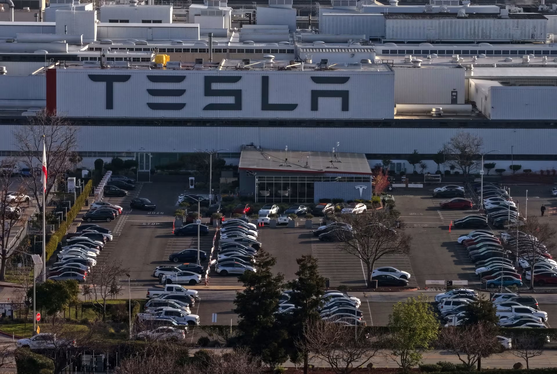 Elon Musk vẽ viễn cảnh xây nhà máy Tesla trên Mặt trăng 2 Elon Musk - Ảnh 2.