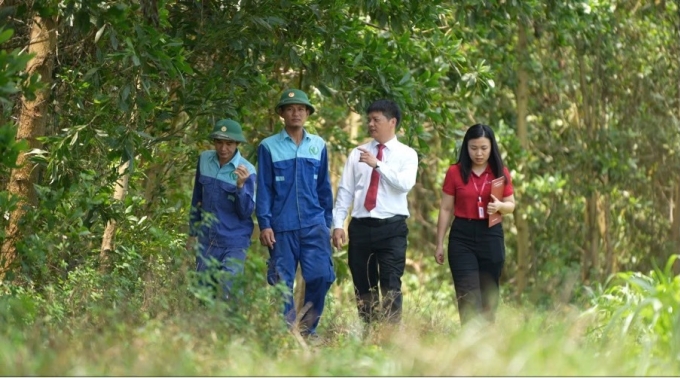 Cán bộ Agribank thẩm định doanh nghiệp trồng rừng, tái tạo và quản lý bền vững, sau đó bán lượng CO2 hấp thụ được cho các tổ chức phát thải lớn tại Thanh Hóa. Ảnh: Agribank