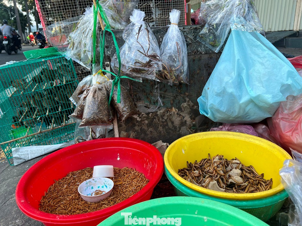 Lạ lùng những phiên chợ ‘không giống ai’ ở TPHCM- Ảnh 4.