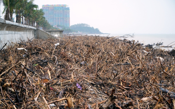 Hàng nghìn tấn rác thải tràn ngập bờ biển Hải Tiến sau bão Bualoi, tháng 10/2025. Ảnh: Lê Hoàng