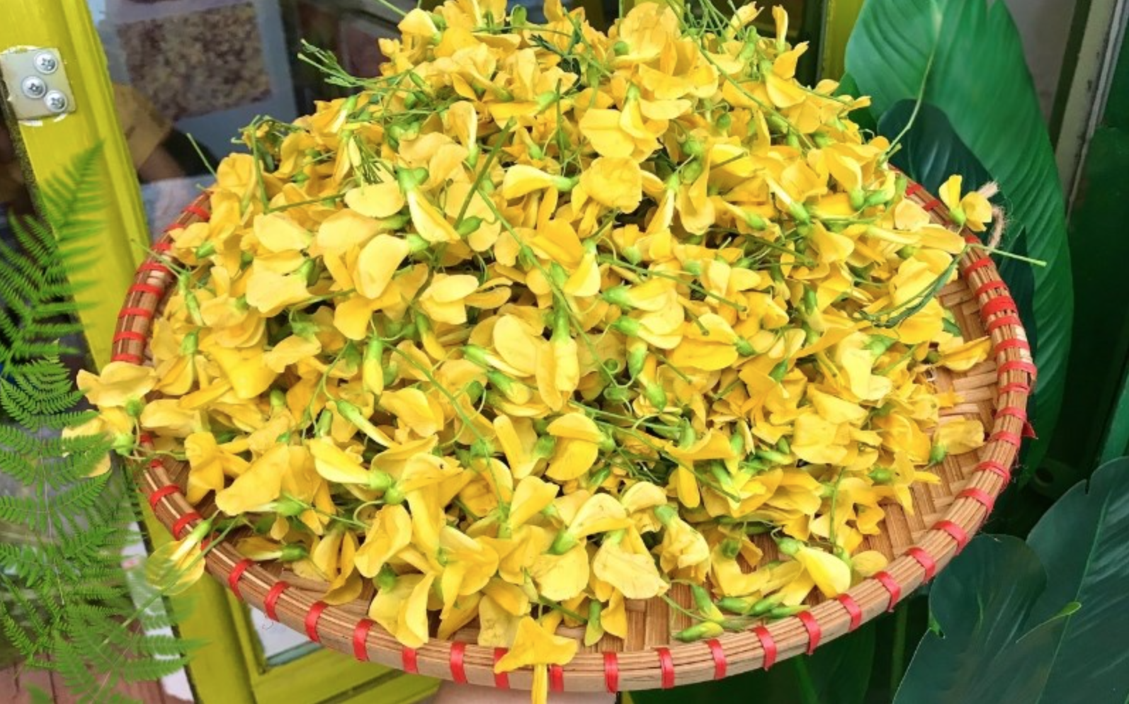 Không chỉ là thủ phủ trái cây, miền Tây còn sở hữu một 