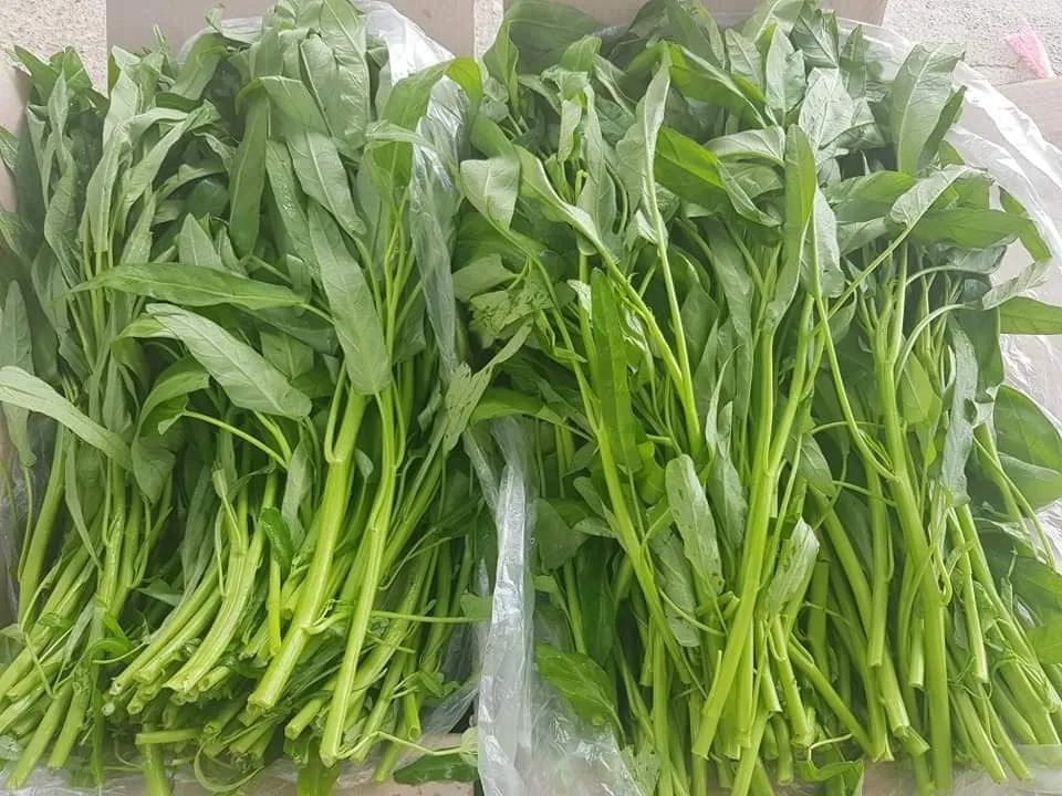 5 loại rau nên mua ngay lúc này: Giá rẻ, ít calo, chợ Việt nào cũng bán- Ảnh 3.