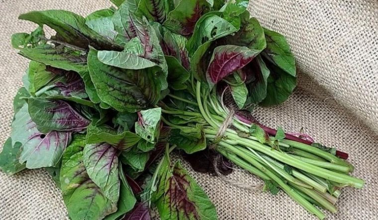 5 loại rau nên mua ngay lúc này: Giá rẻ, ít calo, chợ Việt nào cũng bán- Ảnh 5.