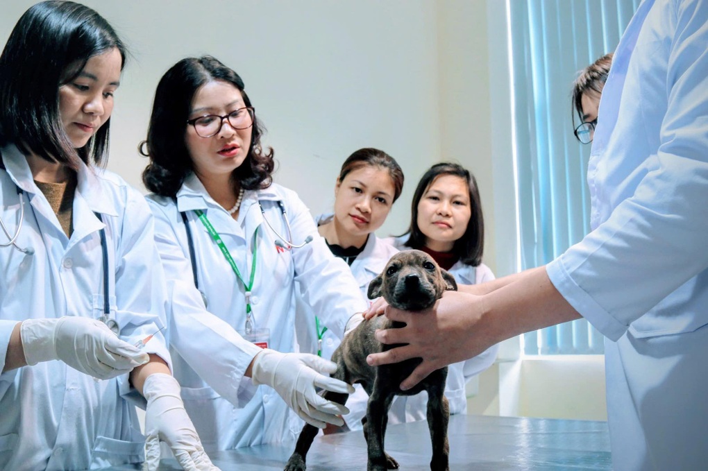 4 giáo sư ngành giáo dục ứng cử đại biểu Quốc hội khóa XVI - 4